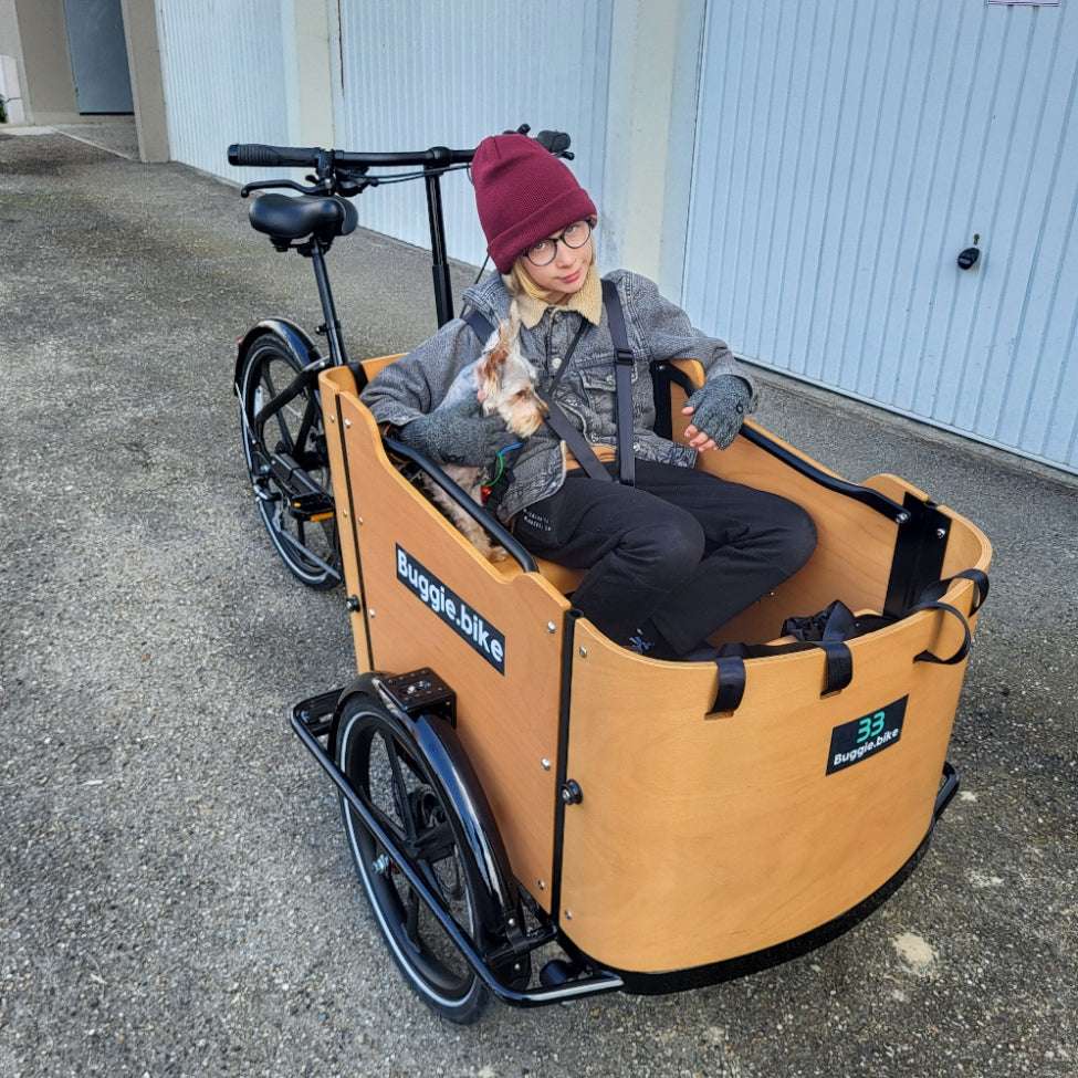 Buggie bike Ascot moteur milleu