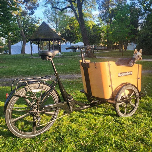 Buggie Bike Goodwood Triporteur