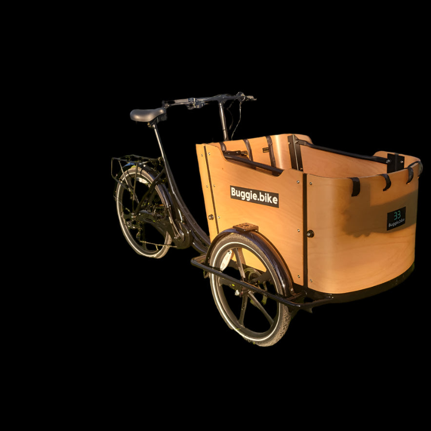 Buggie Bike Goodwood Triporteur