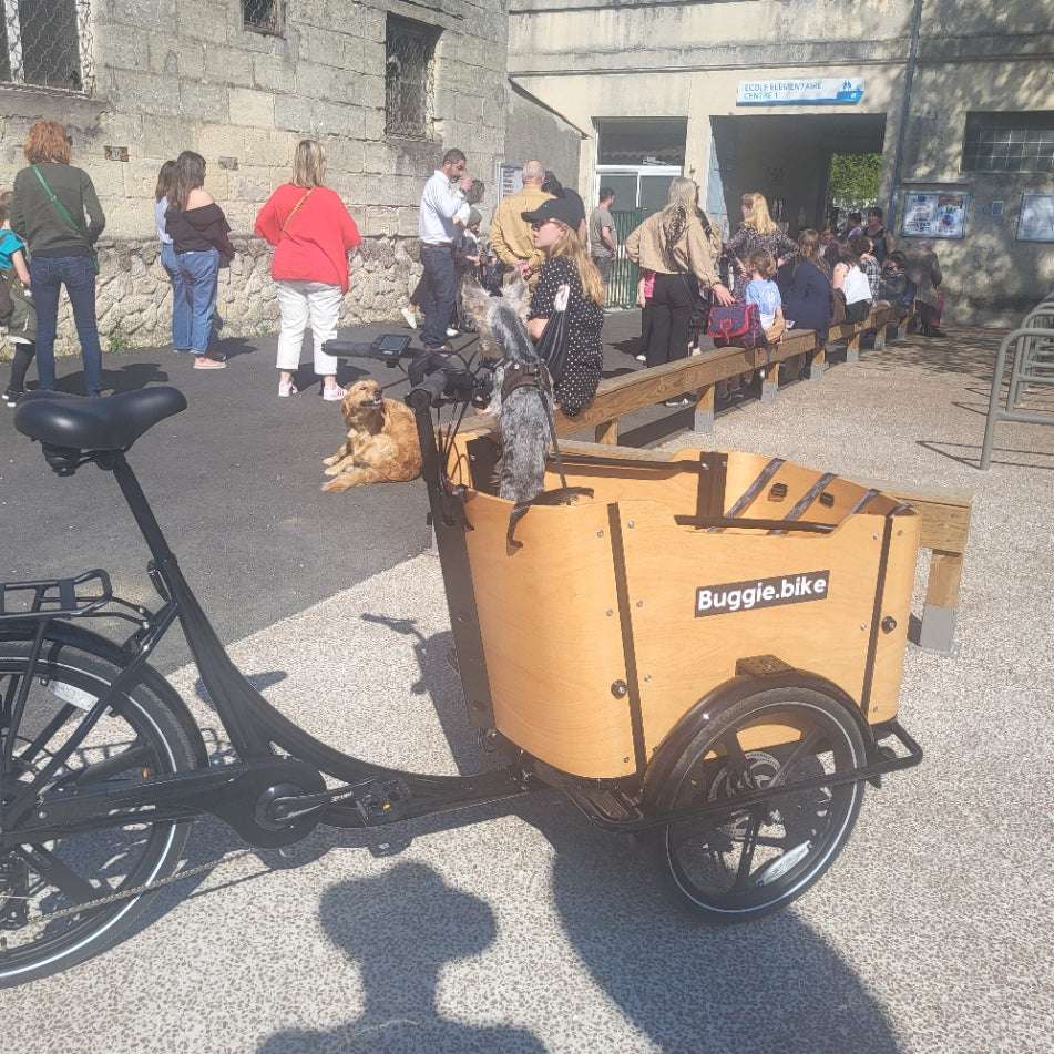 Buggie Bike Goodwood Triporteur