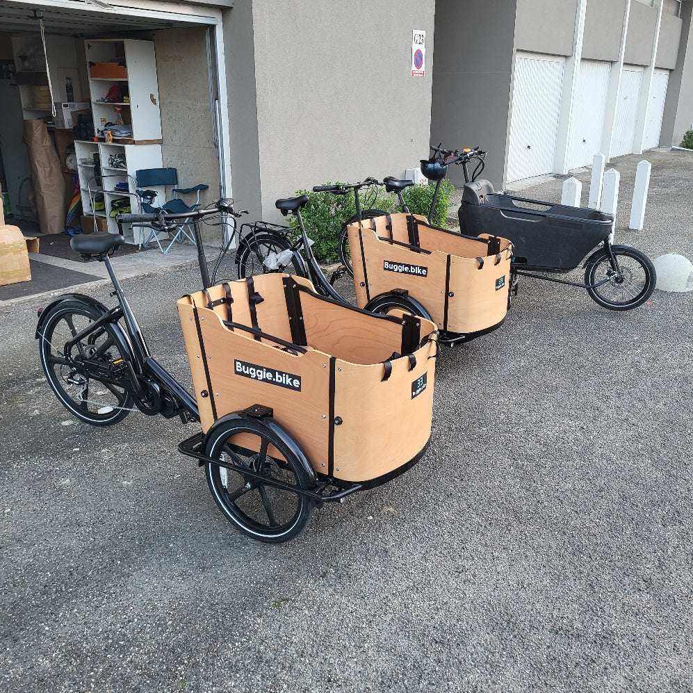 Buggie bike Ascot moteur milleu