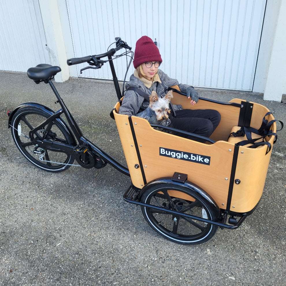 Buggie bike Ascot moteur milleu