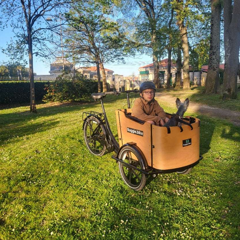 Buggie Bike Goodwood Triporteur