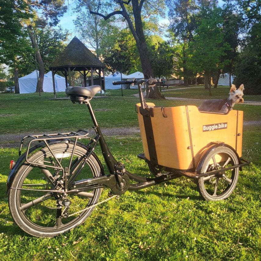 Buggie Bike Goodwood Triporteur